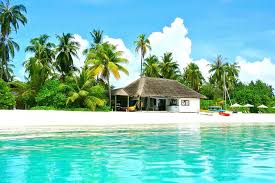 Choosing a Dive Resort for Your Next Vacation